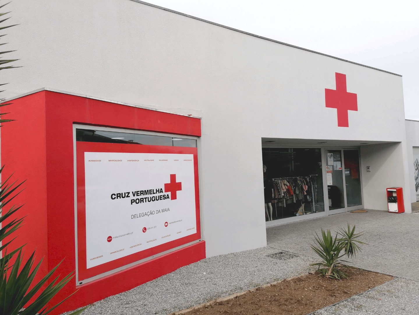 HitCare ajuda Cruz Vermelha da Maia a inovar